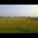 Die Mekongebene ist groß und flach